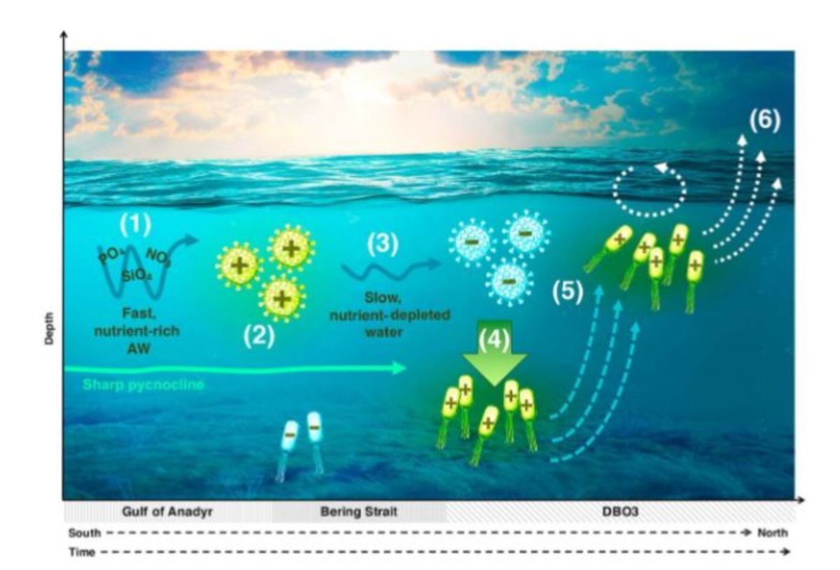 Biological-aerosols.jpg (Full)