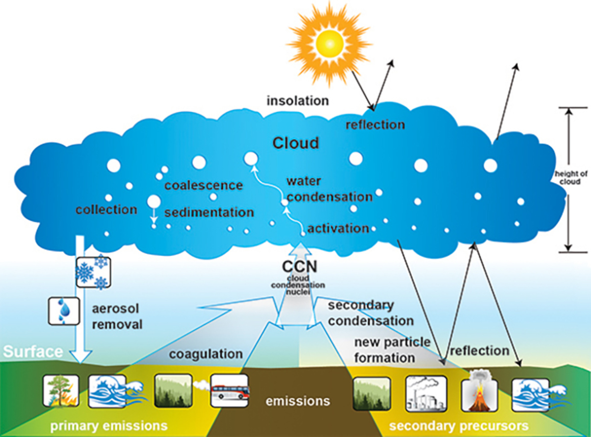 Rothenberg_ACP_PHOTO.jpg (Full)