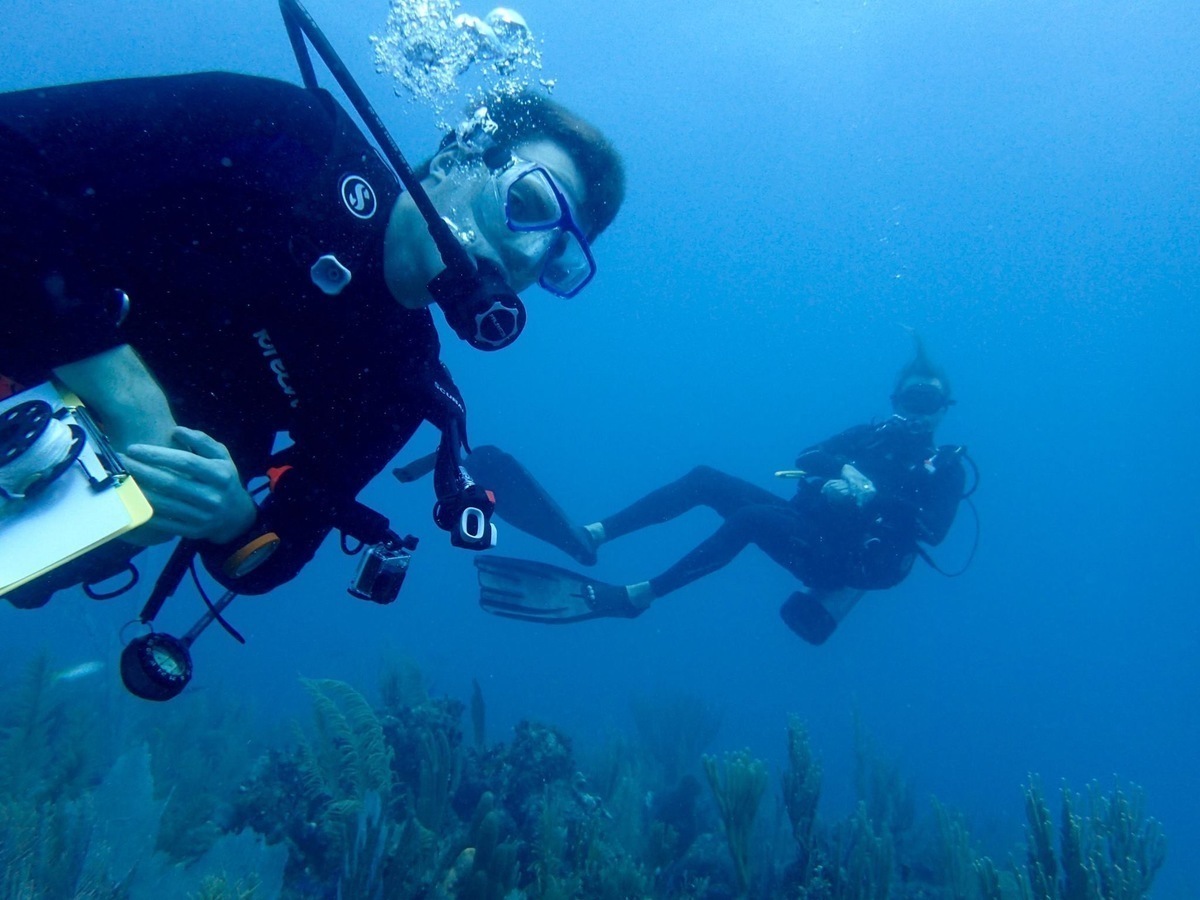 Underwater_Laura_Weber.jpg (Full)