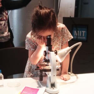 A child looks at phytoplankton from the Charles River. Credit: Cassie Martin