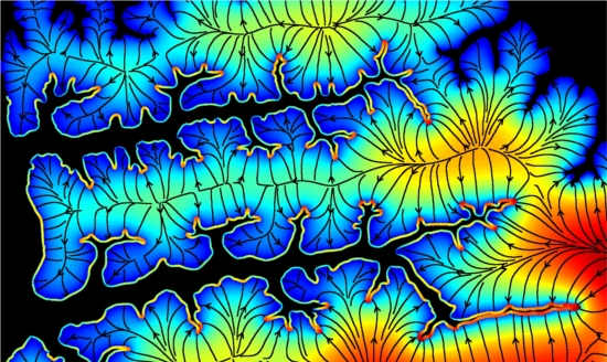 The water table and associated groundwater flux in a Floridian valley network - Colors indicate Poisson flux  and Poisson elevation which are proportional to the groundwater flux and water table height respectively - from Petroff et al.