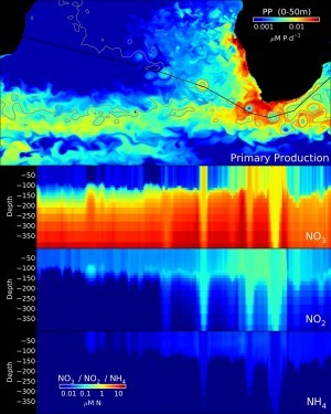 This figure shows modeled nitrogen stocks along Agulhas ring tracks. Warmer colors indicate higher concentrations of nitrogen compounds. Credit: Villar et al.