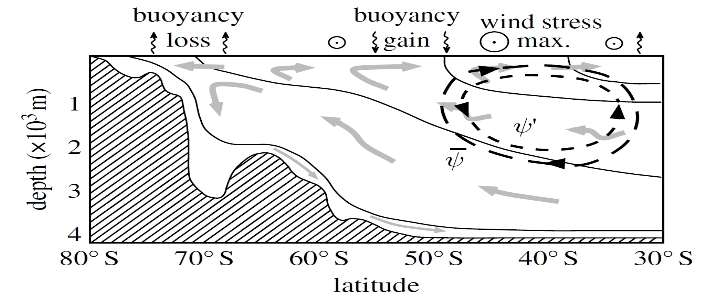 Circulation