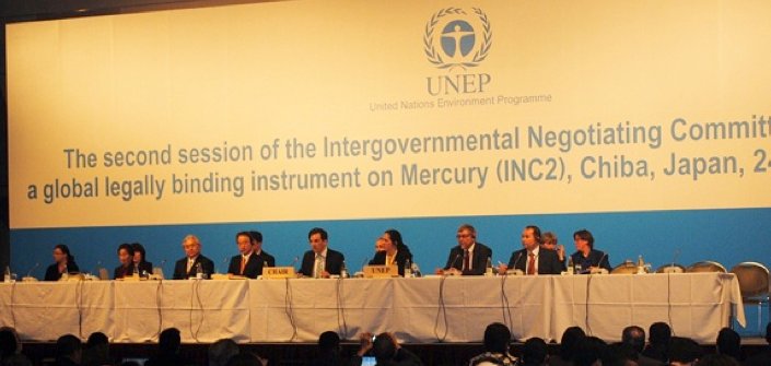 12.846 is a prerequisite for applying to attend the final negotiating session of a global mercury treaty in 2013.