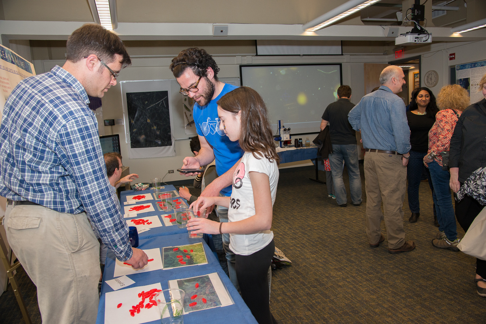 EAPS researcher Anne Willem Omta and postdoc David Talmy work together to explain marine hunting strategies and resource scarcity. (Image: Vicki S McKenna)